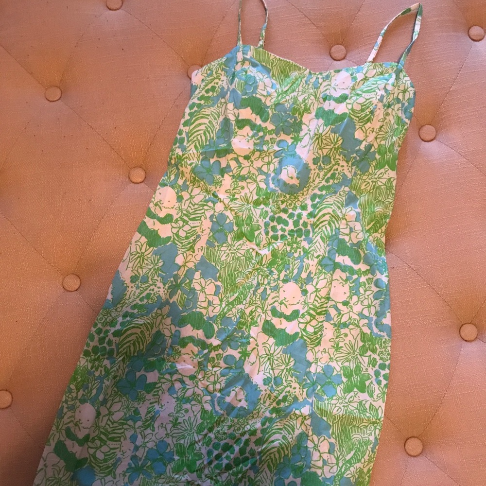 Lilly Pulitzer Mccallum Dress 00